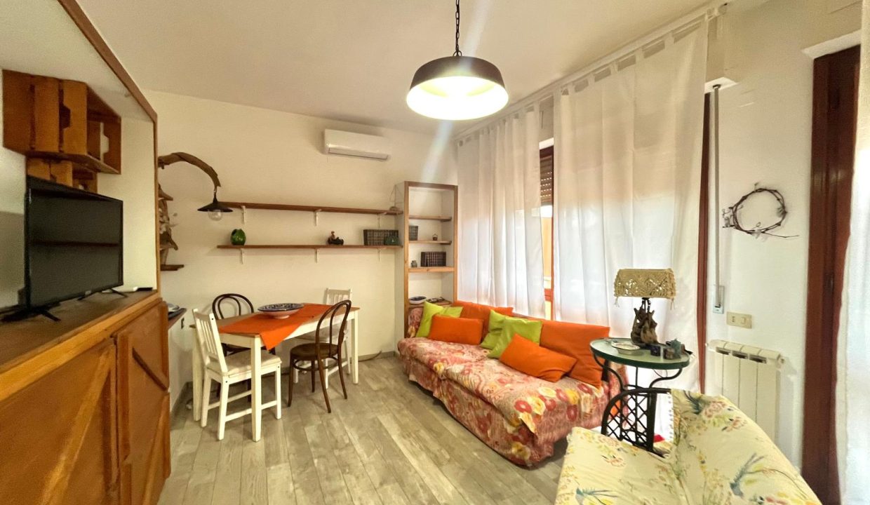 WhatsApp Image 2026-02-02 at 17.36.39 (13)