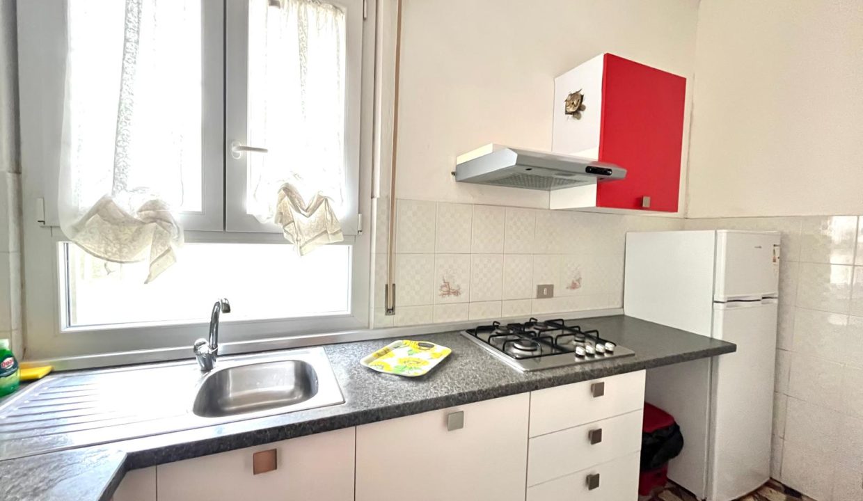 WhatsApp Image 2026-02-07 at 12.51.29 (4)