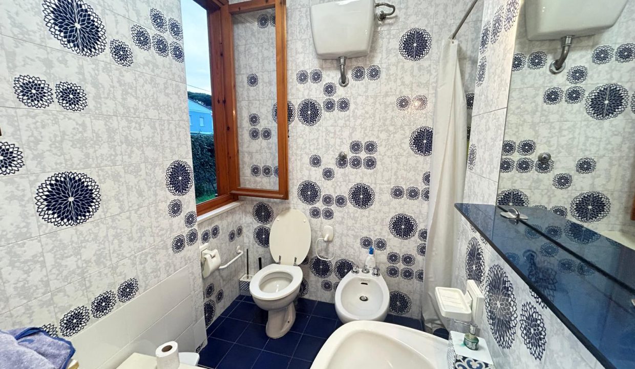 WhatsApp Image 2026-02-09 at 11.56.40 (2)